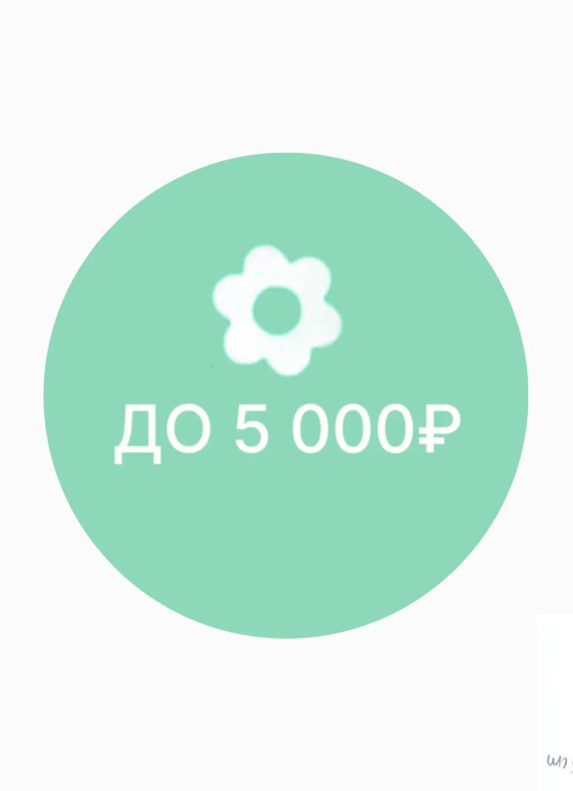Букеты до 5 000 — категория каталога
